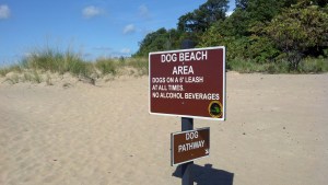 Dog Beach!