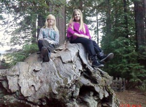 Rachel and Summer on stump at Shrine Drive-Thru tree