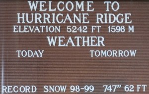 That's A LOT of snow!