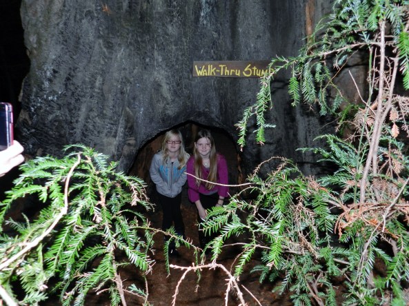 Rachel and Summer at Walk-Thru Stump