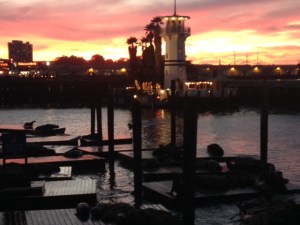 Sea lions and sunset at Pier 39