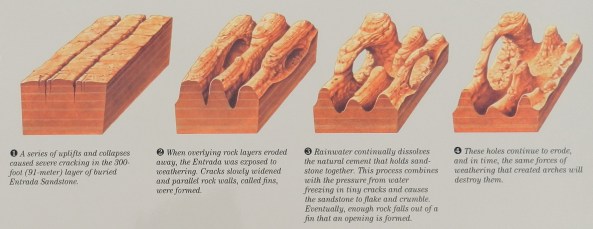 How arches are formed